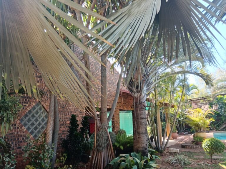Comfortable guesthouse rooms at One Love Suites, Mokopane